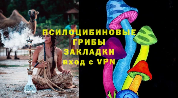хмурый Алексин