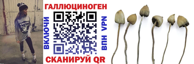 где найти   Сельцо  Псилоцибиновые грибы ЛСД 